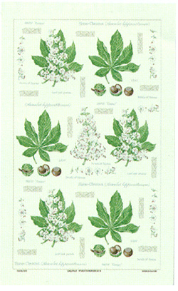 Chestnut, Irish Linen Tea Towel