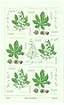 Chestnut, Tea Towel