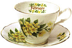 Flower of the Month, February - Cup and Saucer
