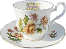 Flower of the Month, Novemember - Cup and Saucer