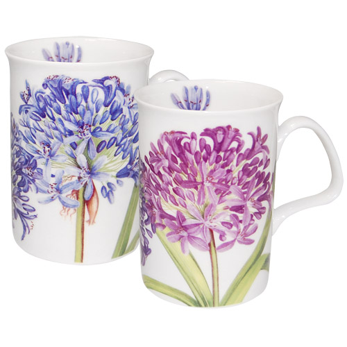 Set of Two Agapanthus Mugs