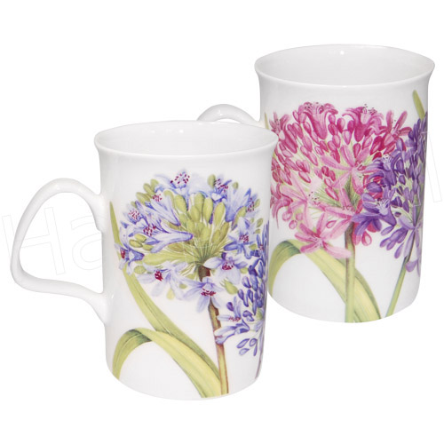 Set of Two Agapanthus Mugs, photo-2