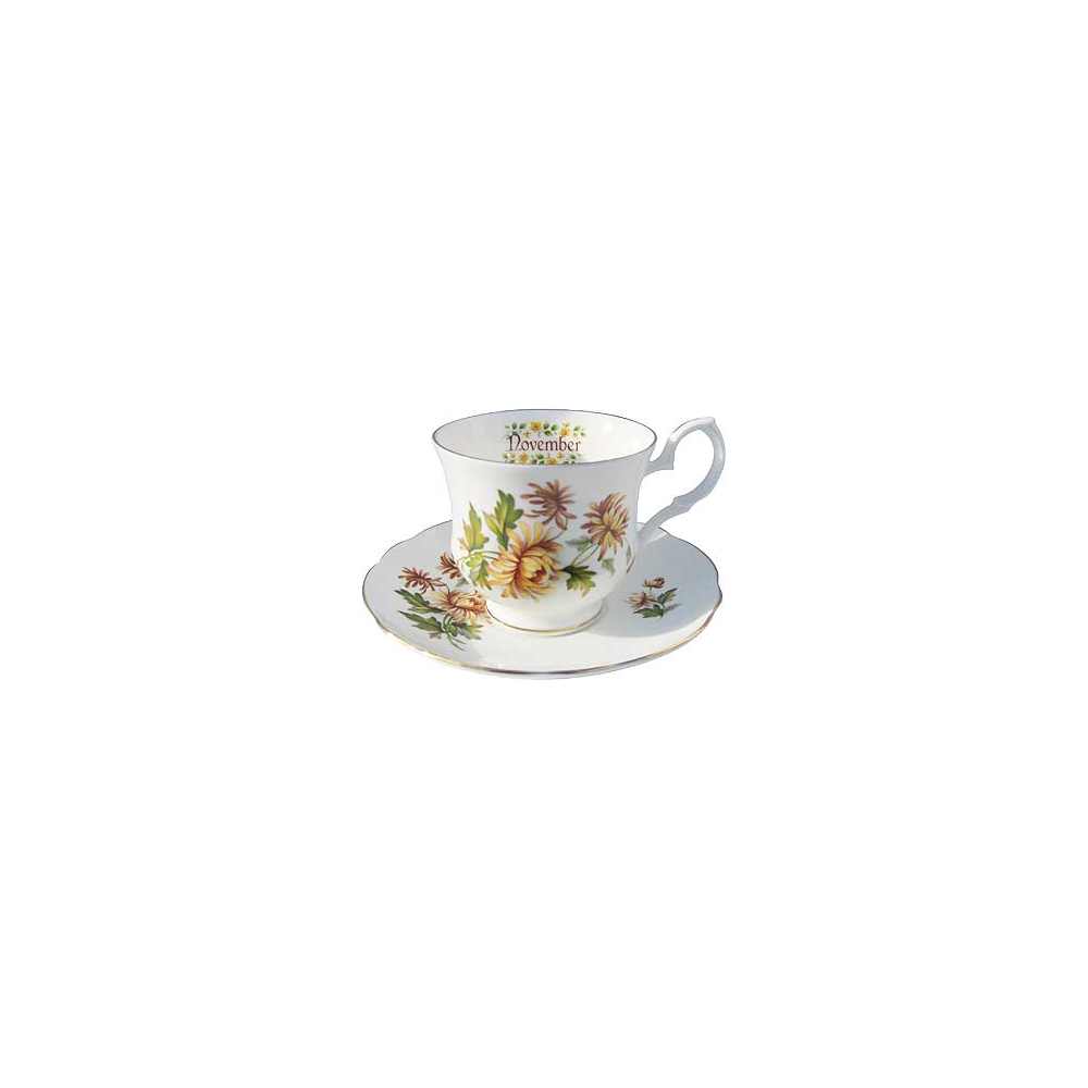 Flower of the Month, Novemember - Cup and Saucer