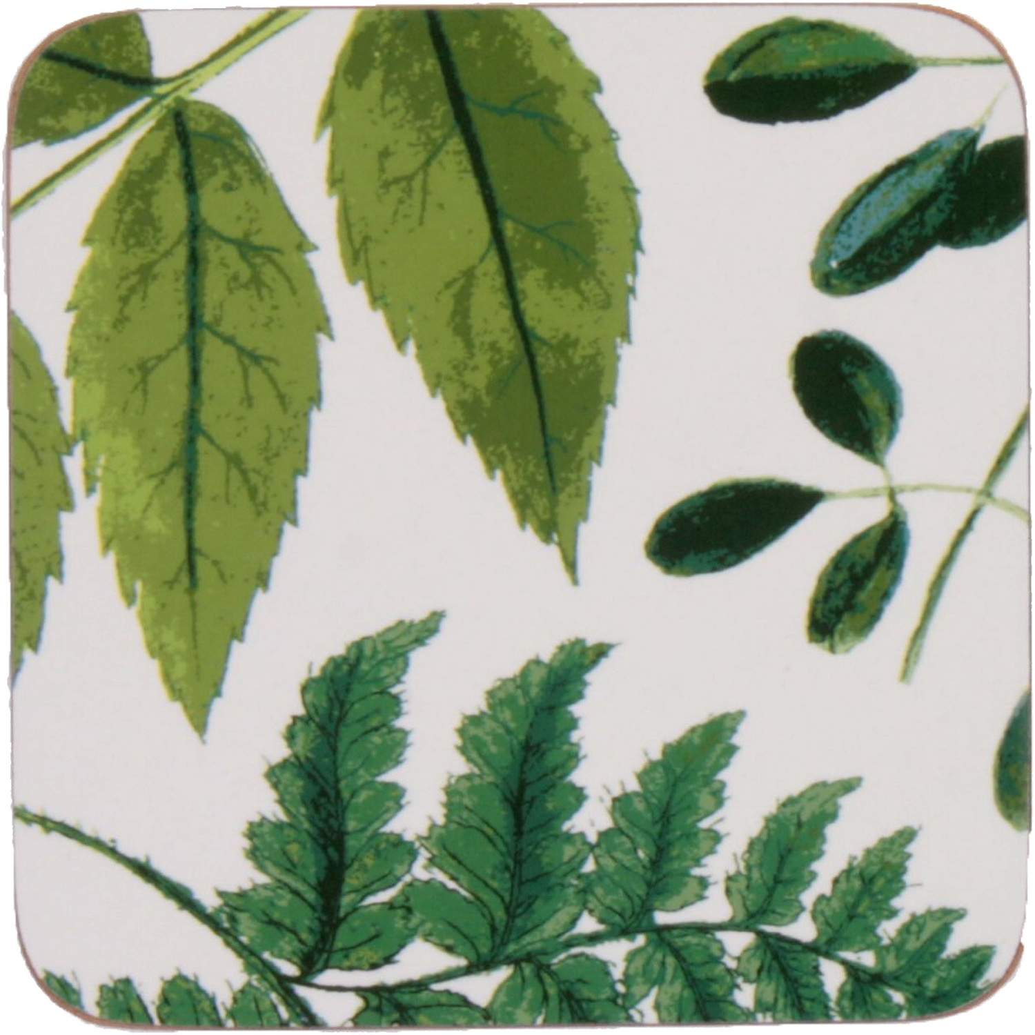 RHS Corked Coaster Set of 4 - Foliage