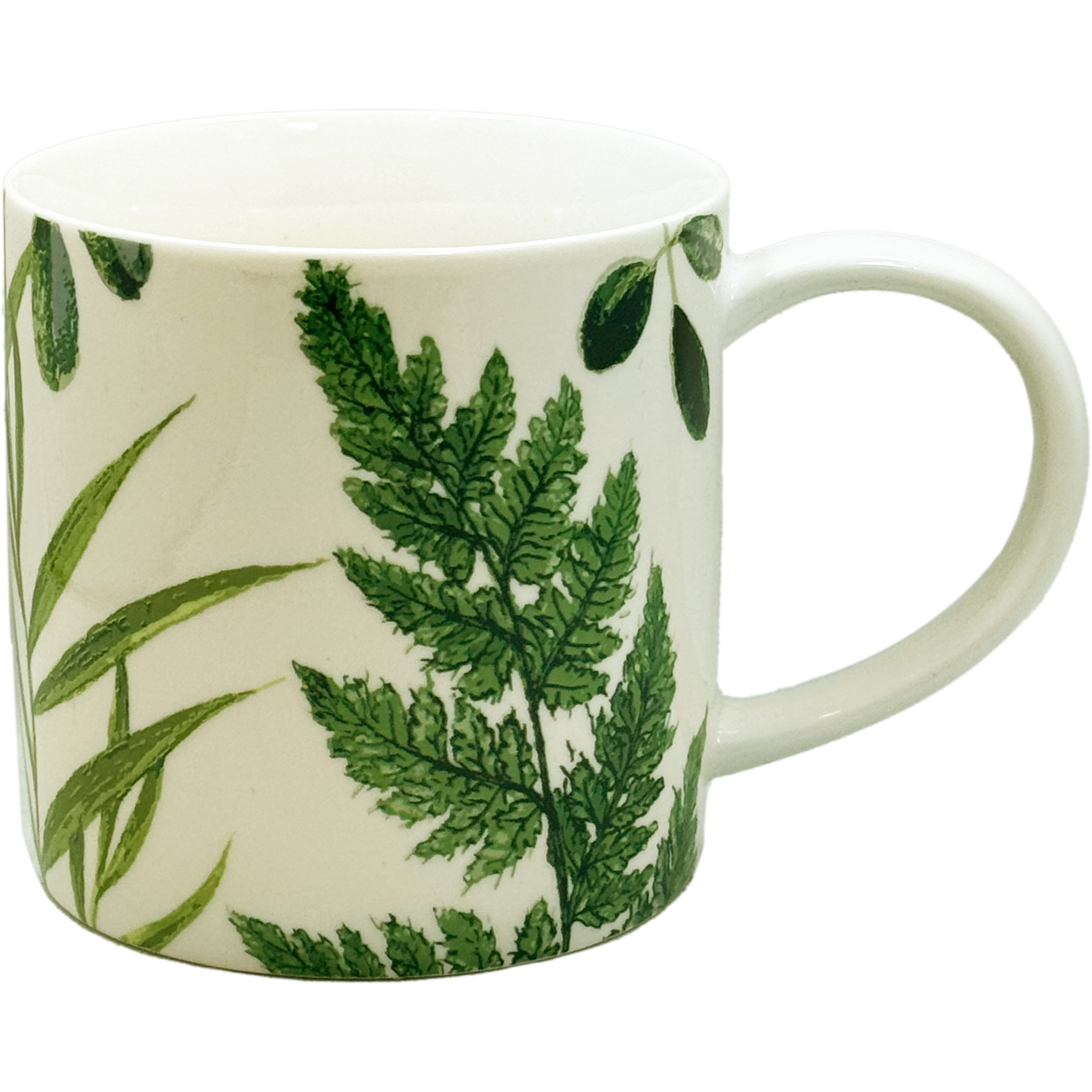 RHS Foliage Straight Sided China Mug