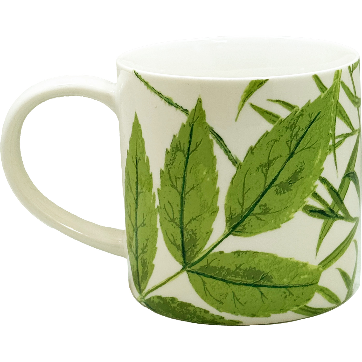 RHS Foliage Straight Sided China Mug, photo-1