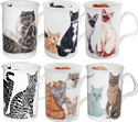 Cats Galore, Set of 6 Animal Bone China Coffee Mug