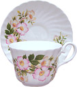 Tea Cup and Saucer, Morning Glory