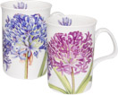 Set of Two Agapanthus Mugs