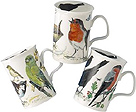 Garden Birds Mug - Assorted Set of 3 Fine Bone China Mugs