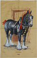 Shire Horse, Cotton Tea Towel