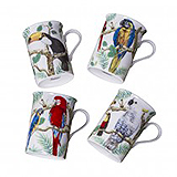 Parrot Mugs, Set of 4