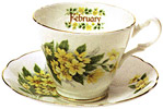 Flower of the Month, February - Cup and Saucer