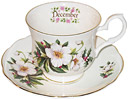 Flower of the Month, December - Cup and Saucer