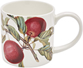 RHS Fruit Straight Sided China Mug