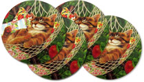Coaster Set of 4 - Maxx Cats Cradle